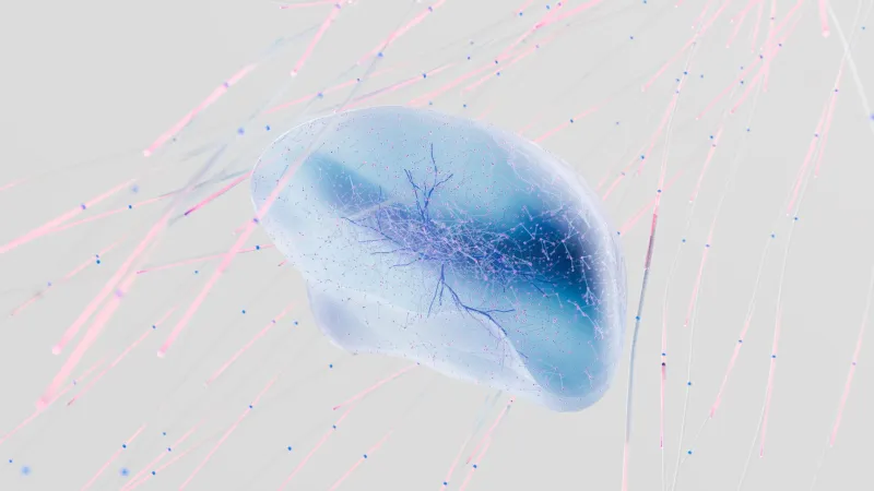 When Your Gut Goes Rogue: The Hidden Link Between Bacterial Imbalance, Anxiety, and Why CBD Might Be the Missing Piece