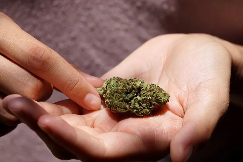 Why Your CBD Gummies Stopped Feeling Like Magic (And How to Get That Effect Back)